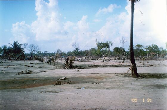 Click to See Next Image