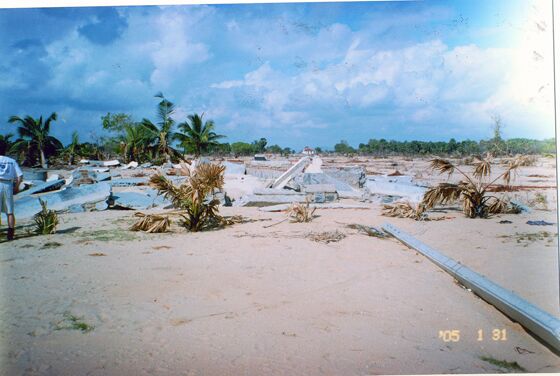 Click to See Next Image